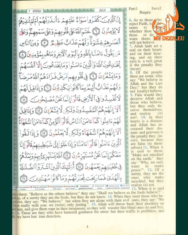 Tajweed Quran With English Translation & Transliteration