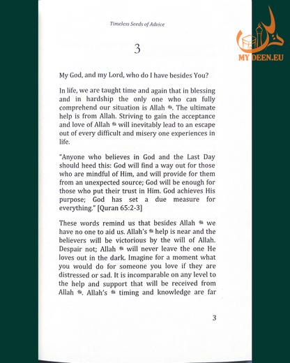 Timeless Seeds of Advise