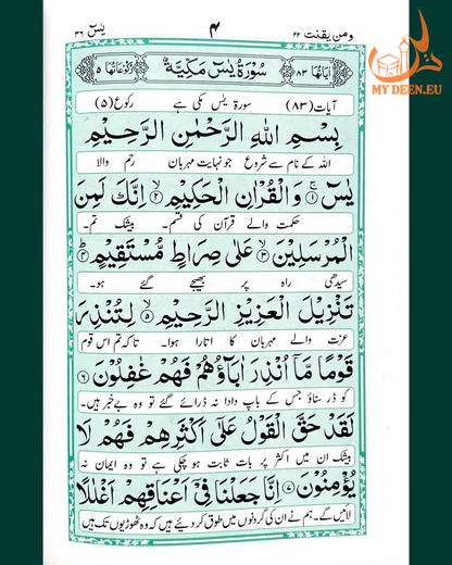 Panj Surah Mutarjam (The Five Essential Surahs) - Translated Edition