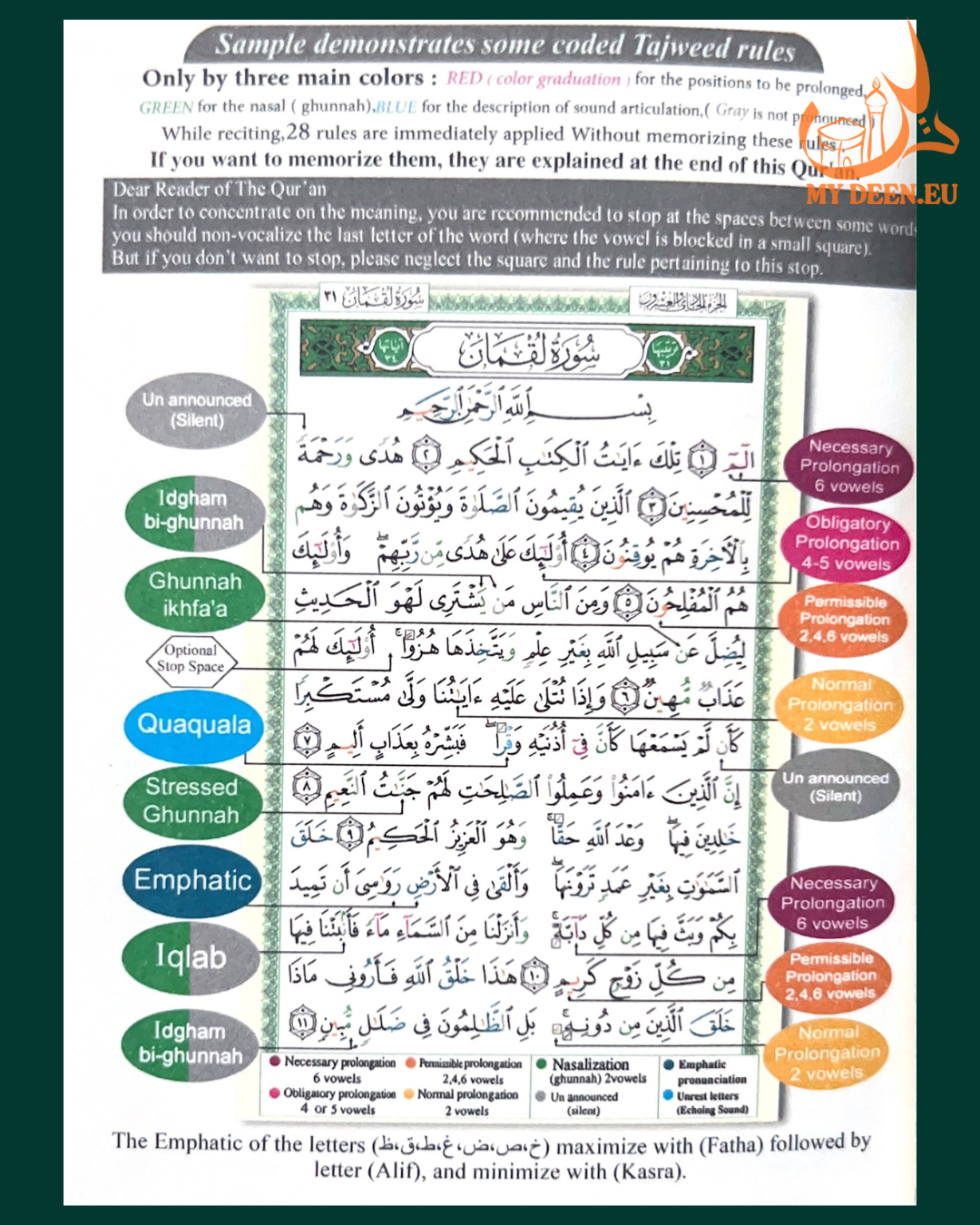 Tajweed Quran: English Translation & Transliteration (Pocket Size)