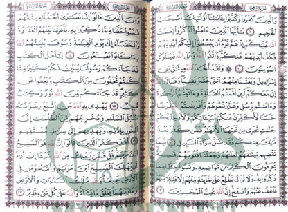 Pocket Quran & Surah Collection