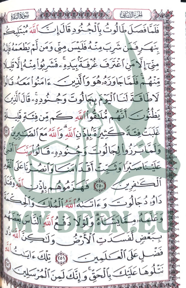 Pocket Quran & Surah Collection