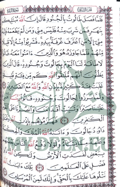 Pocket Quran & Surah Collection